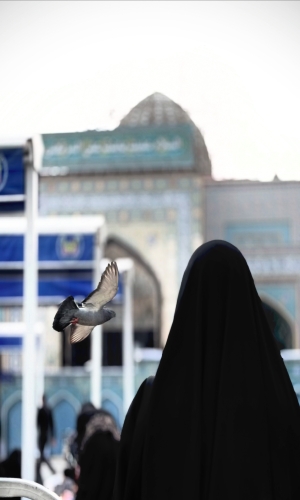 اشواقٌ على جناحِ طائِرٍ سرمدي عِند التل الزينبي..