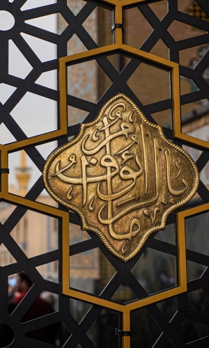 السلام عليك يا أنيس النفوس 